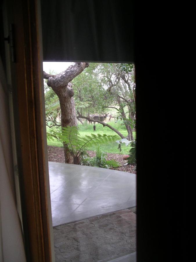 Tingala Lodge - Bed In The Bush Phalaborwa Εξωτερικό φωτογραφία